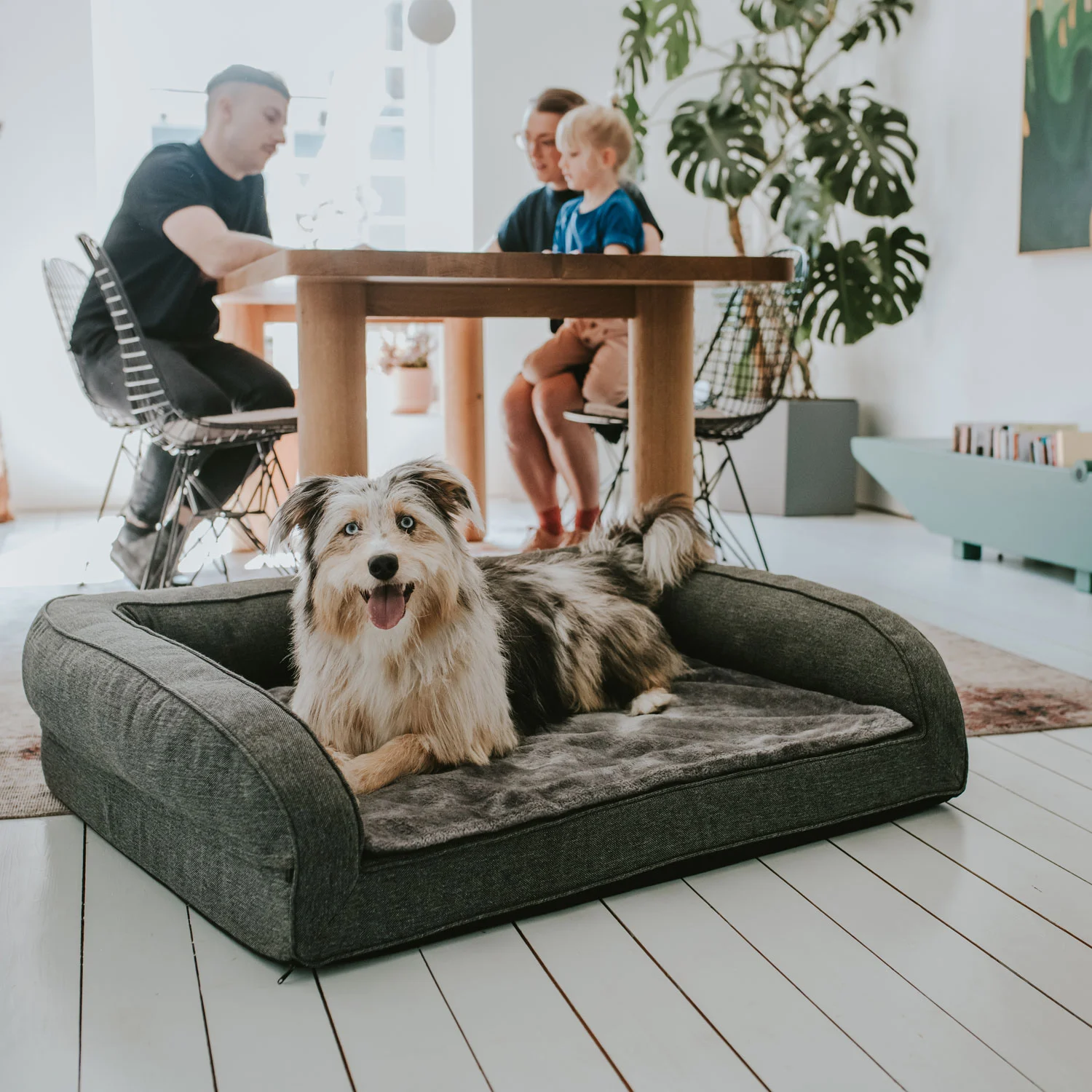Hunter ortopædisk hundesofa Livingston Large 100 x 80 cm Antracit